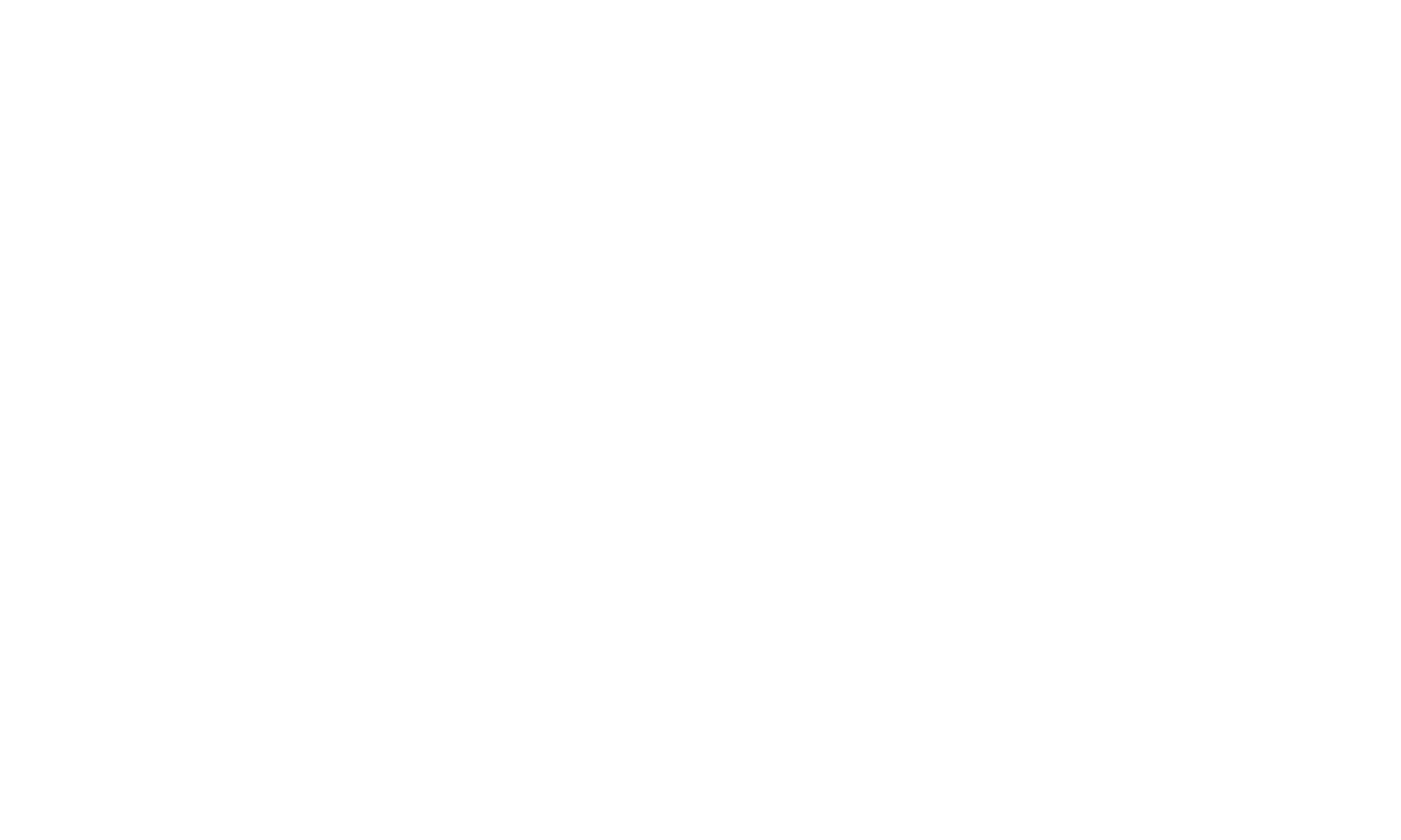 Kinamics