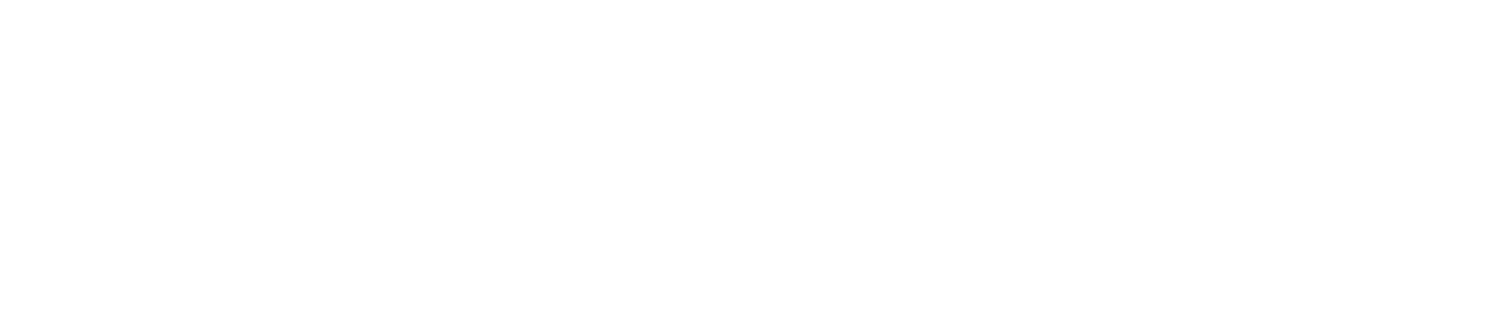 Kinamics